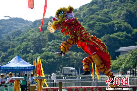 黄飞鸿之狮王争霸_黄飞鸿狮王争霸精彩片段_黄飞鸿狮王争霸赛