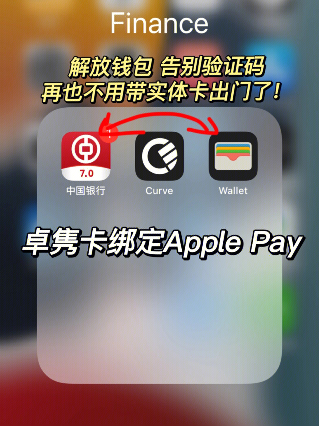苹果手机tp钱包_苹果手机钱包图片_苹果手机tp钱包下载