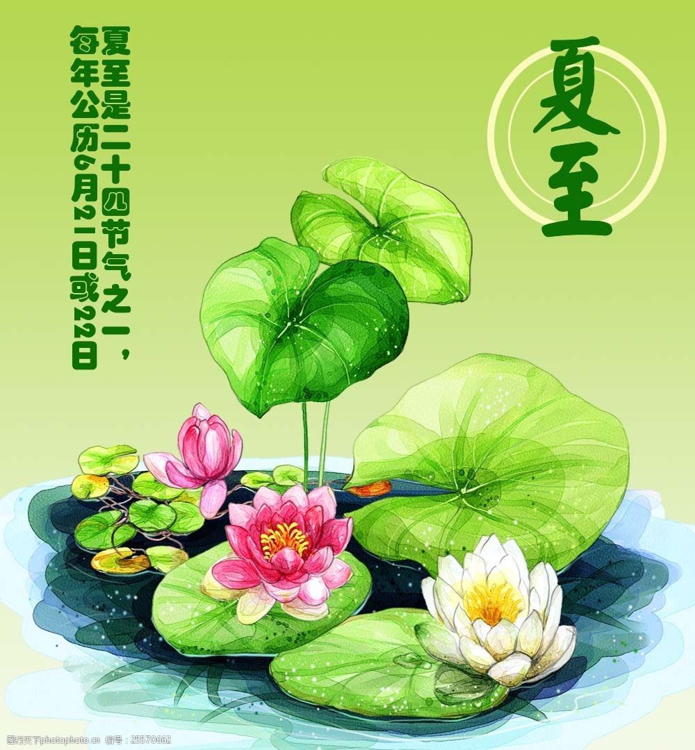 夏至图片_夏至图片最新图片大全_冬至夏至图片