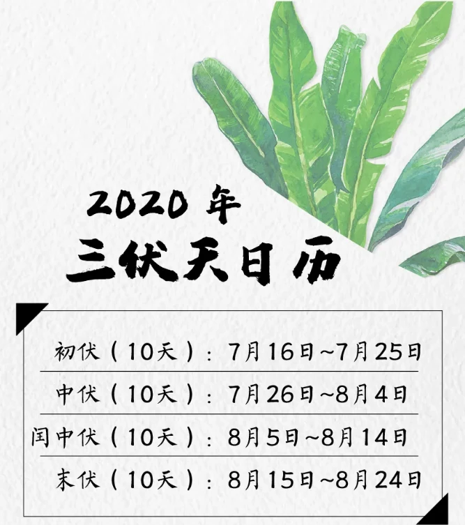 2023年三伏天从什么时候开始_三伏天从什么时候开始今年_三伏天在什么时候今年