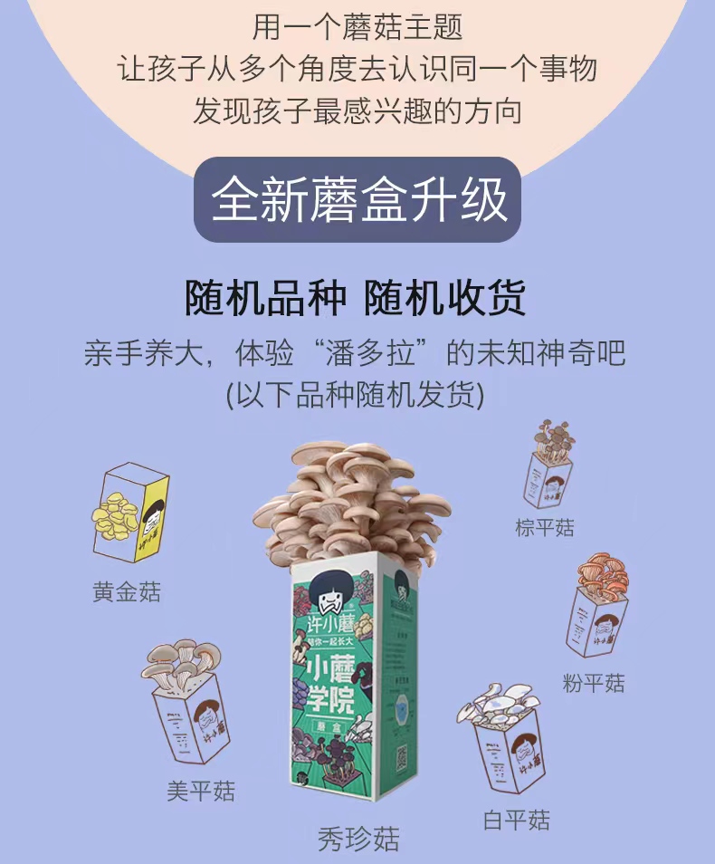 奈须蘑菇背影照_奈须蘑菇游戏_奈须蘑菇