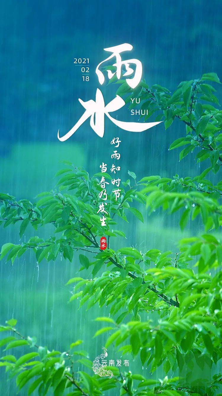 雨水节气特色_雨水节气的特点和风俗_风俗雨水节气特点是什么