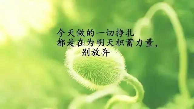 恶魂之泪_恶魂之泪_恶魂之泪