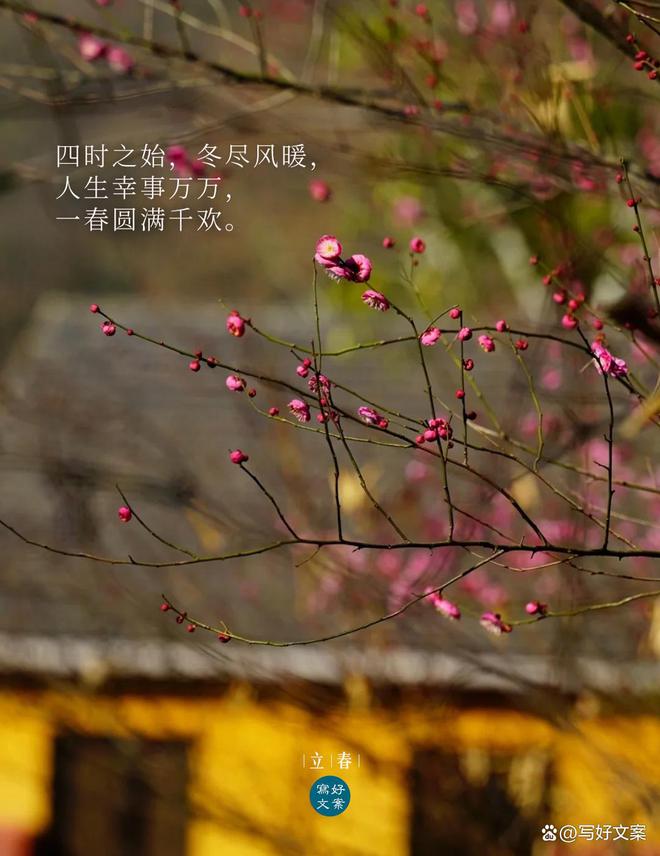 谎言四季都能生长的意思_谎言四季都能生长是谁说的_四季的谎言