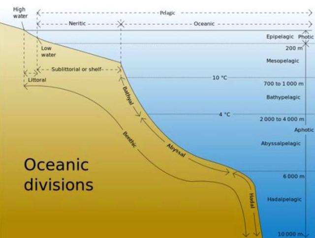 利维坦深海迷航_深海迷航利维坦会复活吗_深海迷航利维坦