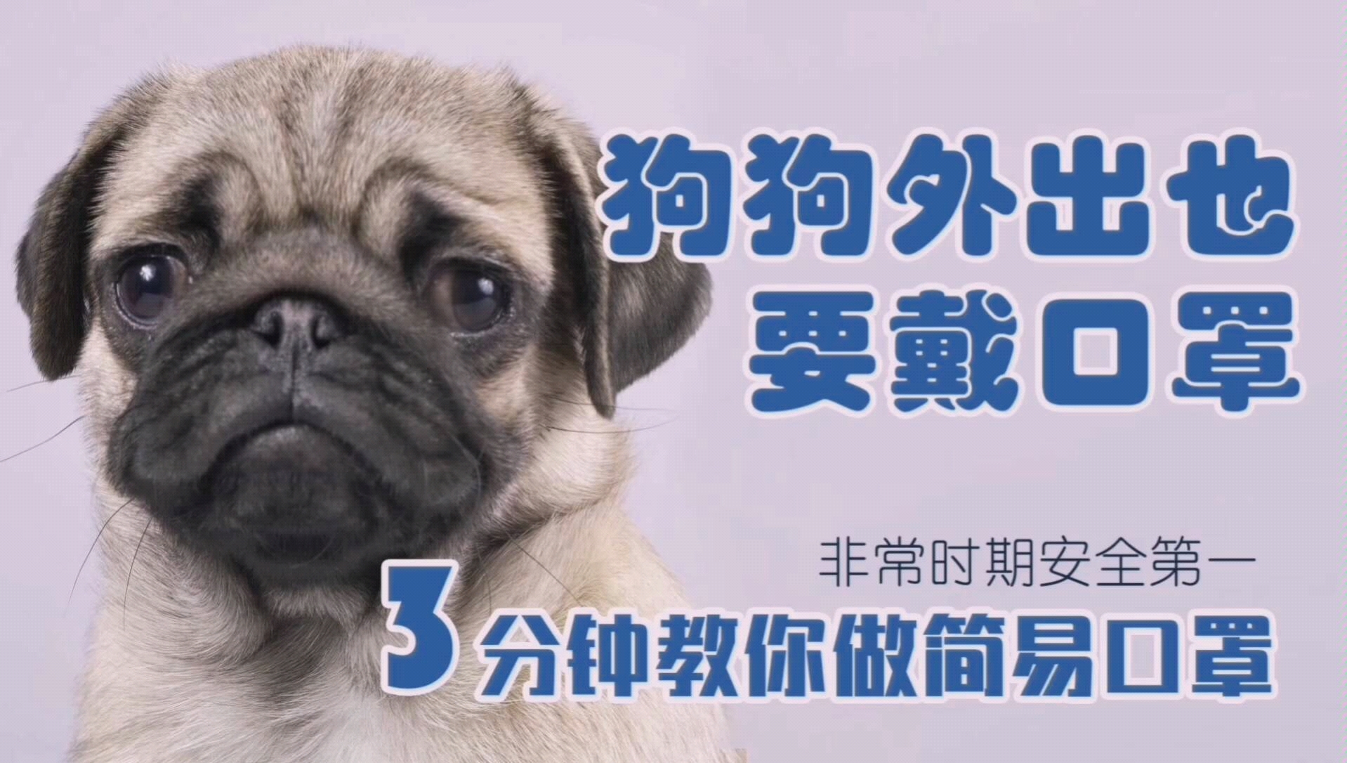 使命游戏_下载使命手游_一条狗的使命下载