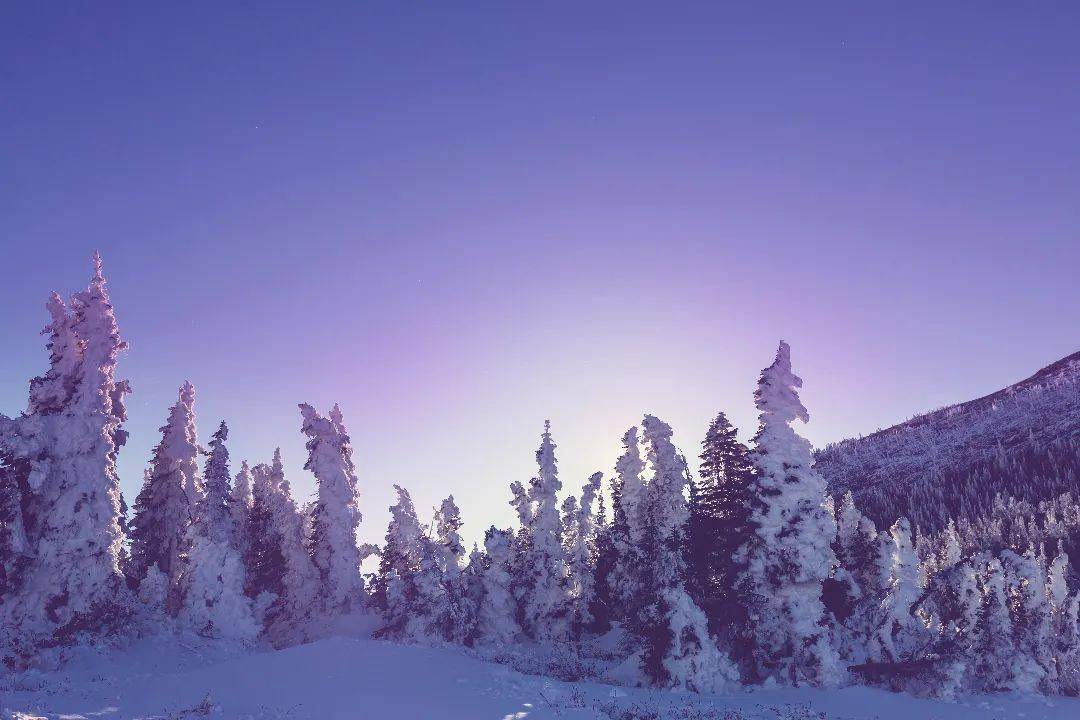 小雪意思是下雪的天气吗_小雪是什么意思_小雪是指什么