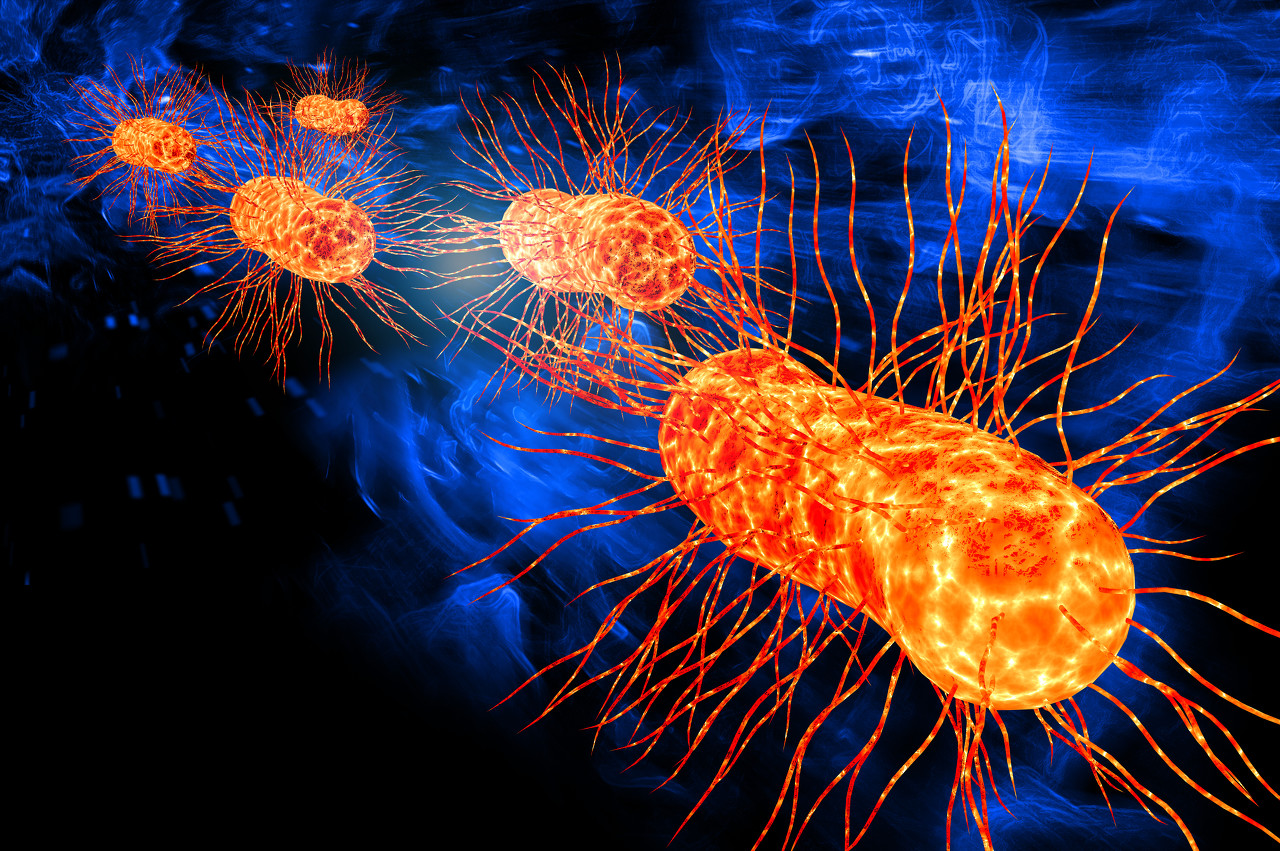 微信生物模拟器_模拟生物的游戏_微生物模拟器手机游戏版