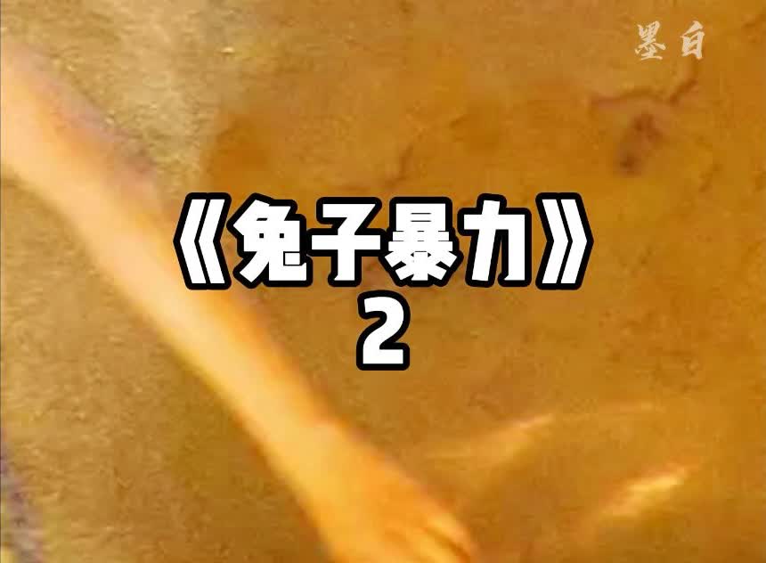 暴力兔子动画片_暴力兔子图片_兔子暴力