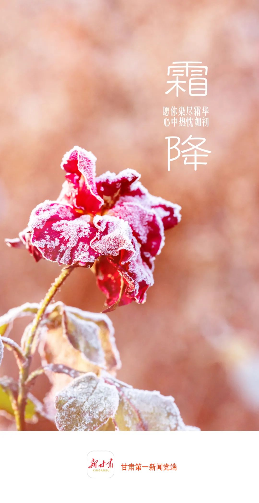 小雪花信风_风花小雪_风小雪话题