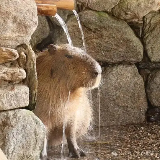 暑假太无聊在家玩游戏_暑假在家玩的游戏_暑假如何在家玩手机游戏