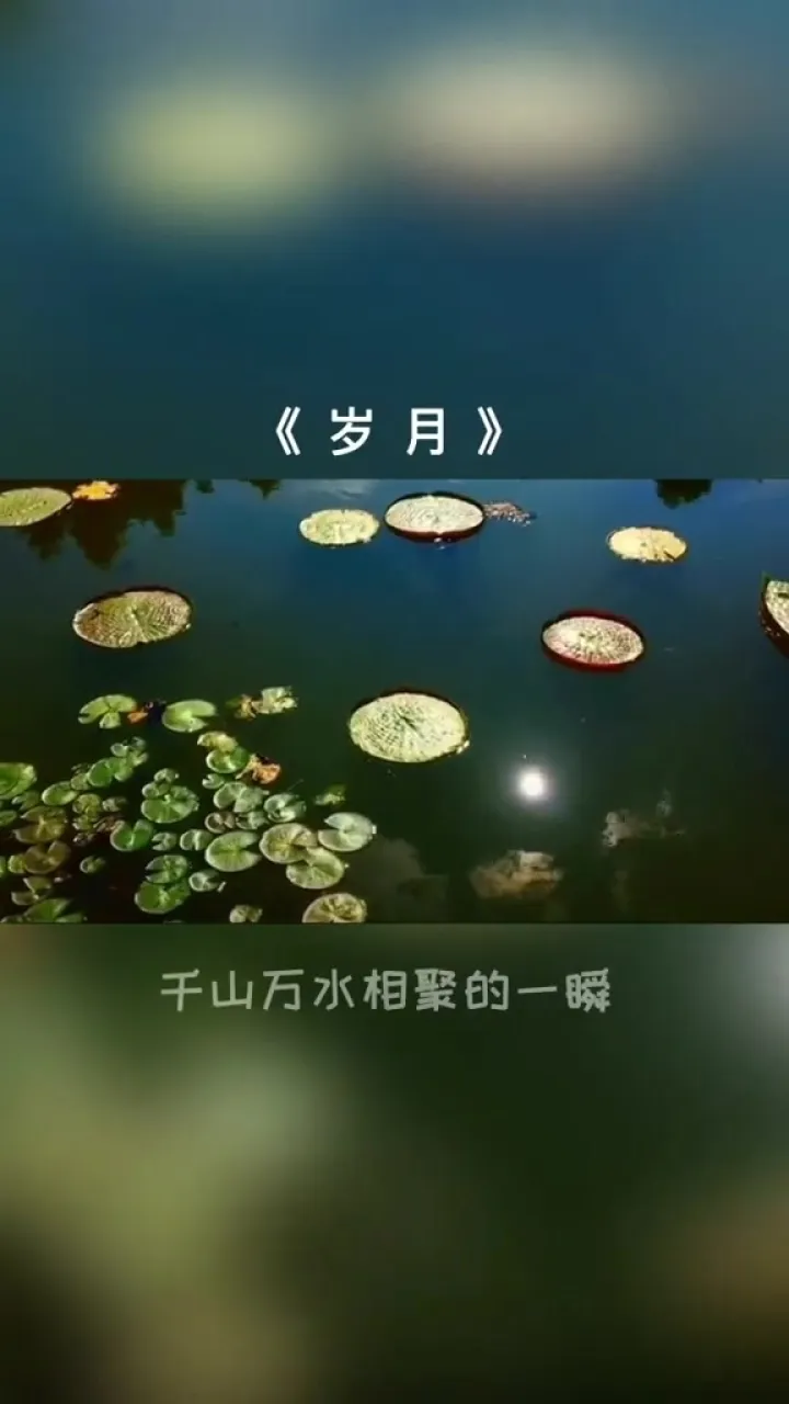 中国时间_苹果XR上市时间中国_苹果X上市时间中国