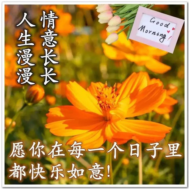 手机游戏绝版_绝版手机游戏排行榜_绝版手机游戏推荐