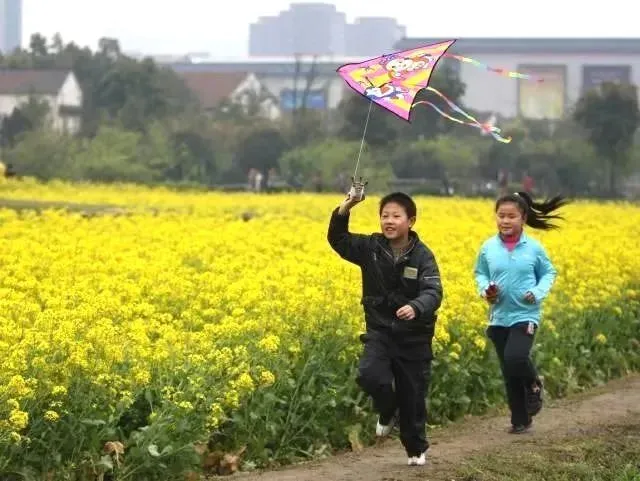 壁纸闪耀_闪卡游戏手机壁纸_壁纸闪卡手机游戏怎么弄