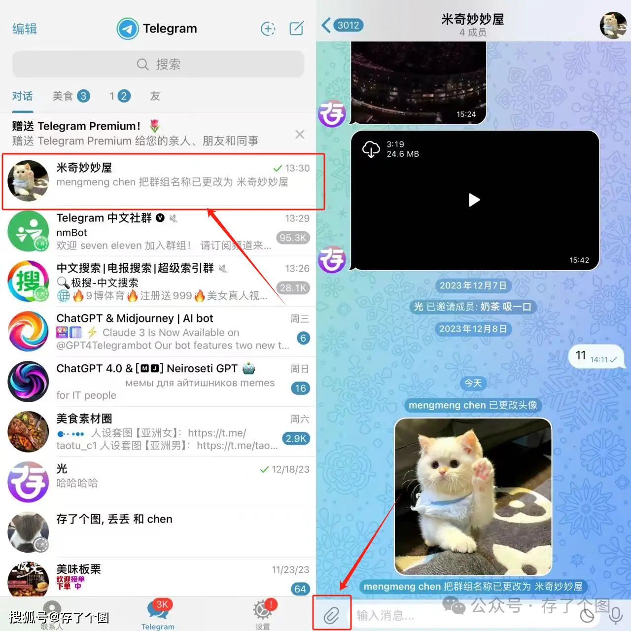 telegram新手指南-探索Telegram：一个充满活力