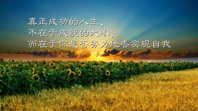 青年节的年龄范围是多少岁_青年节_青年节活动策划方案