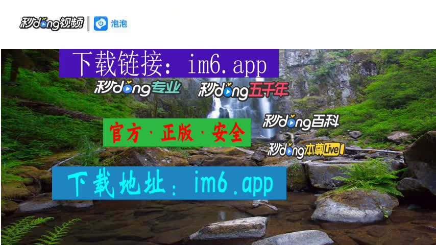 im钱包苹果版app-im 钱包苹果版 app：改变上班族数