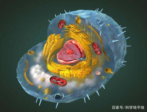 进化地铁空间_进化地位_进化之地