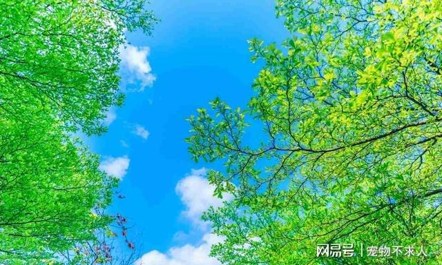 江近酒李白_近江_近江