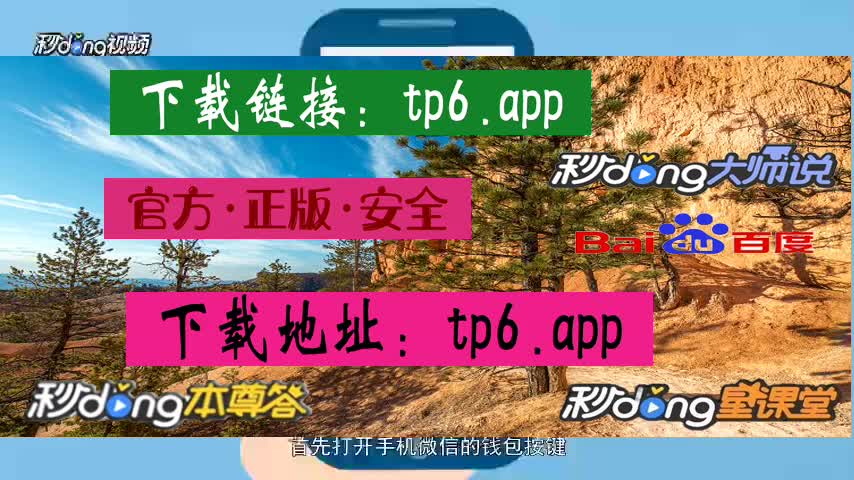 电脑版钱包在哪里_钱包里面没有添加项_tp钱包电脑版没有bsc