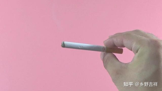 手机游戏分发平台_分部手机游戏有哪些_手机游戏 分部