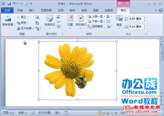 word分隔符怎么删_文档删除分隔符_word2016删除分隔符