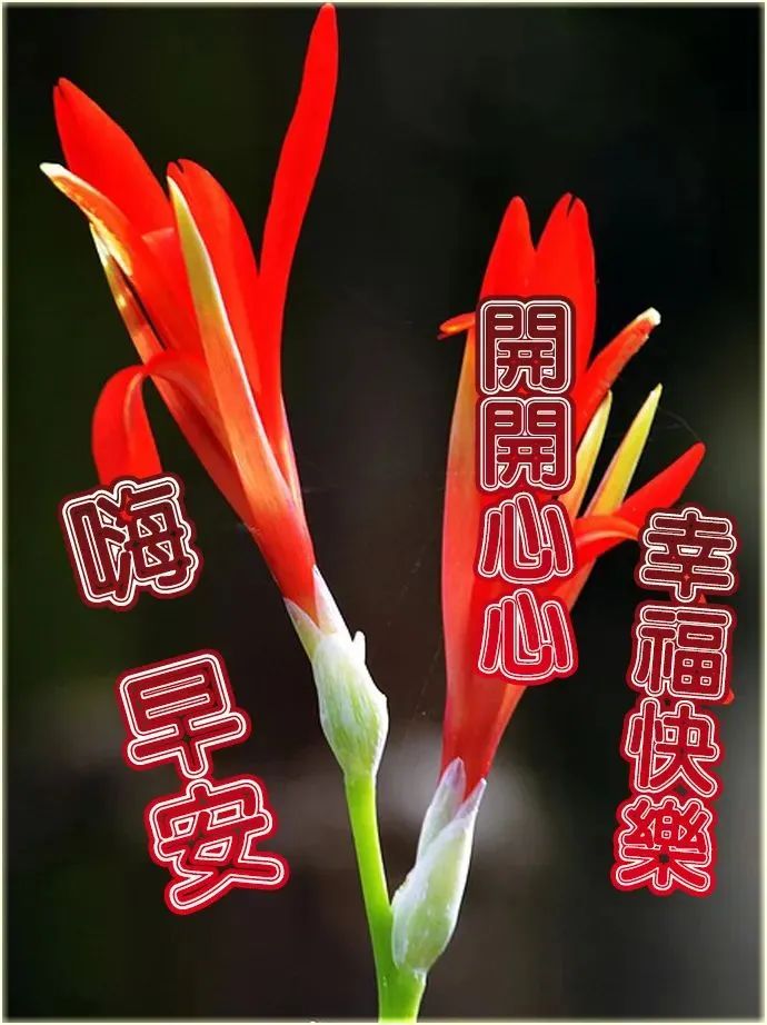 telegram干什么_telegram干什么_telegram干什么