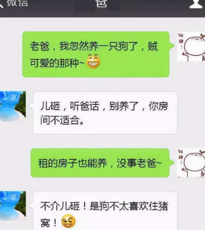 凯申物流公司小说_凯申物流表情包_凯申物流是什么梗