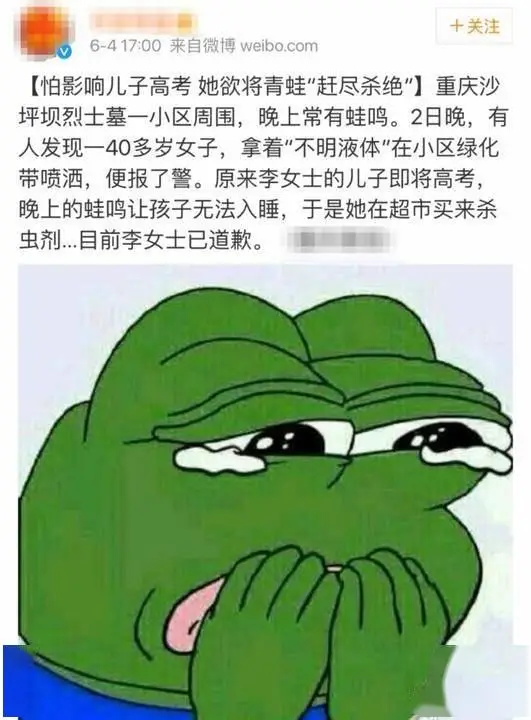 凯申物流公司小说_凯申物流表情包_凯申物流是什么梗