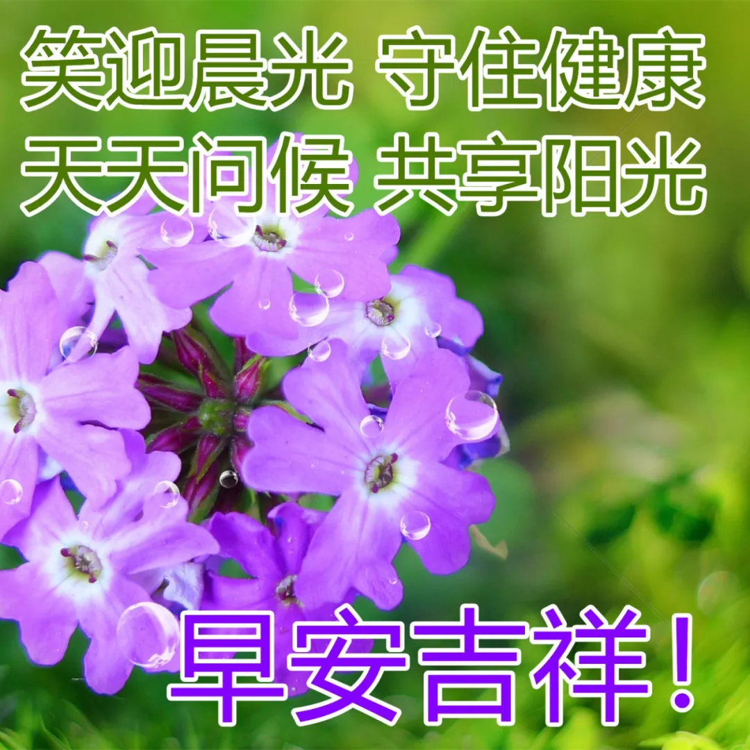 手机上偷菜的游戏_2021偷菜游戏_偷菜那个游戏叫什么