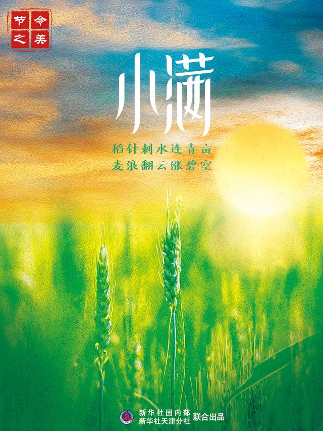 谚语小满前后下一句是什么_小满的谚语_谚语小满不满