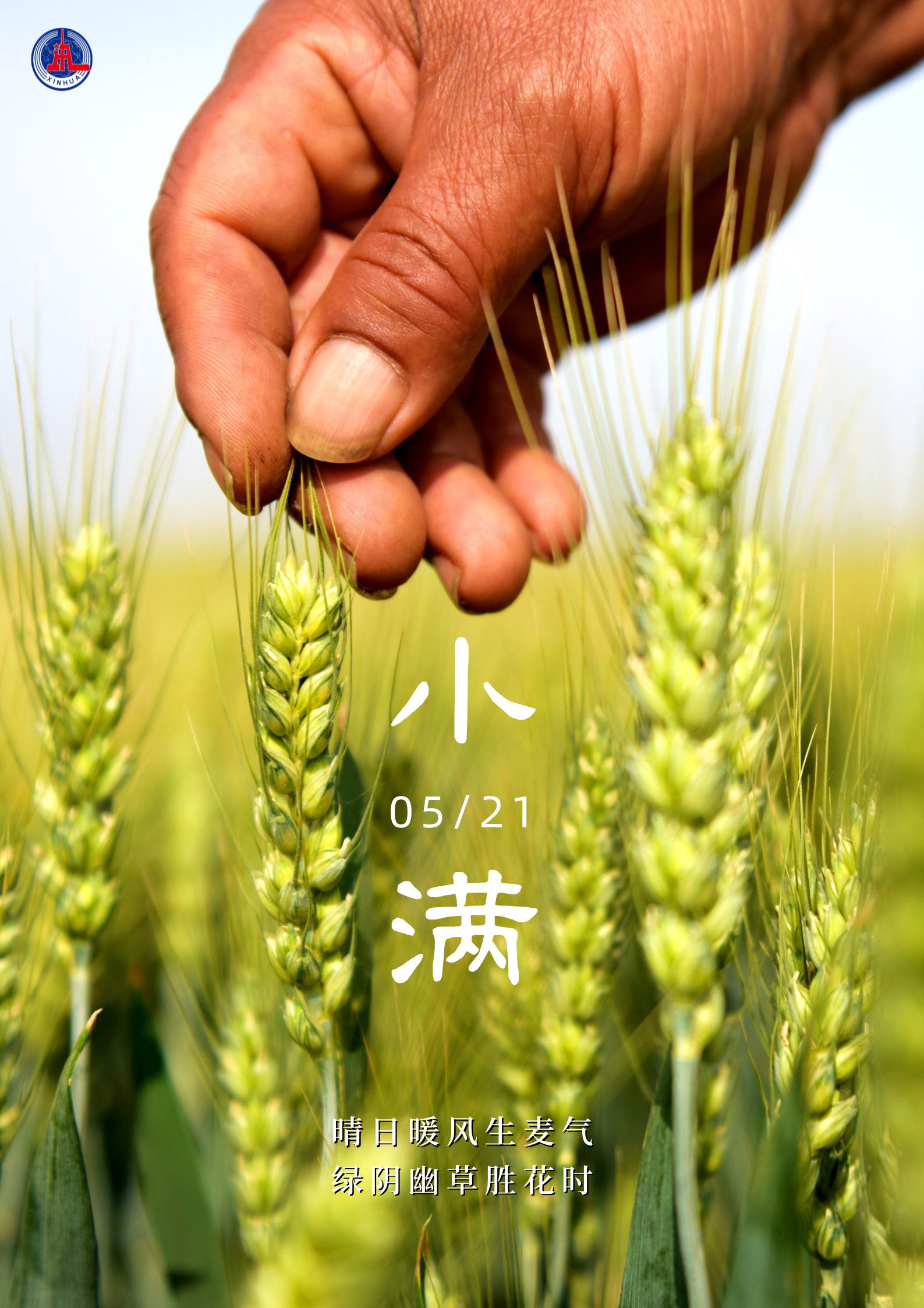 谚语小满不满_谚语小满前后下一句是什么_小满的谚语