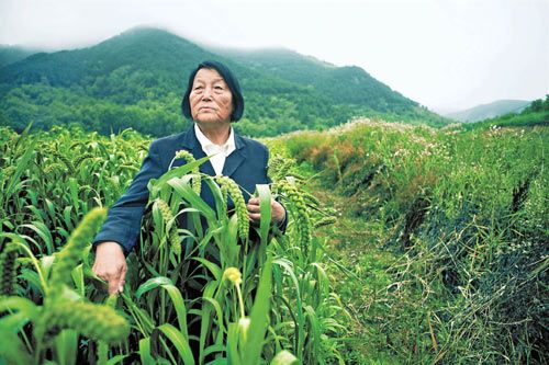 页面读书_阅读器页面_页面阅读模式怎么开启