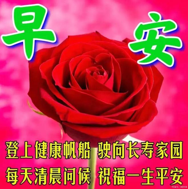 左芬_左棻怎么读_左棻