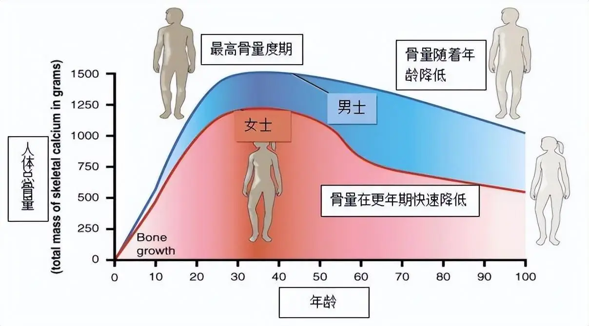 手机游戏捕鱼_手机游戏bestfiends_手机游戏平台