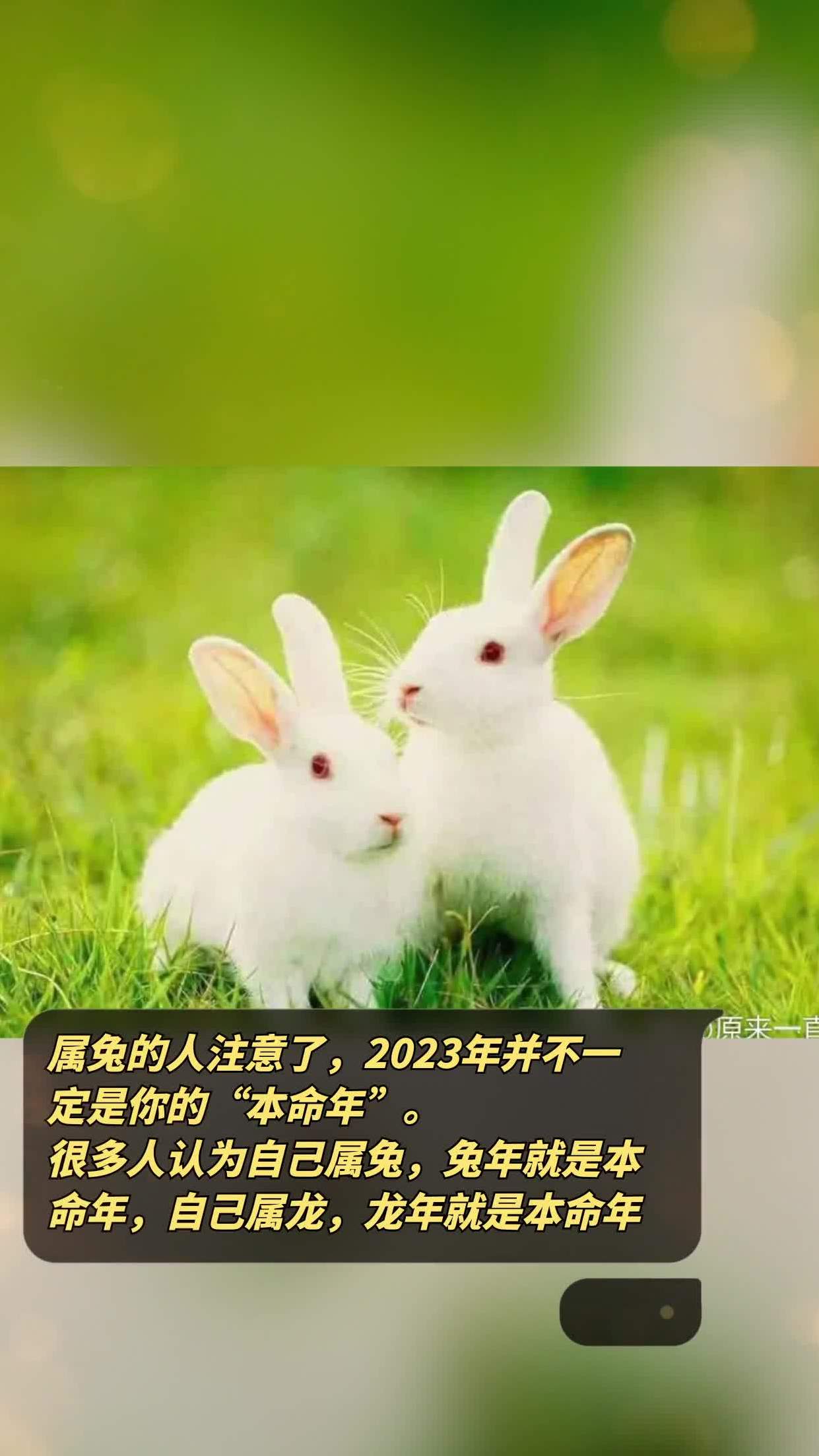 年是2023年几月几日_2023年是个什么年_年是2023年还是2024年