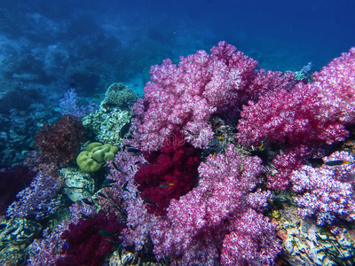 深海迷航冰点之下_深海迷航冰点之下下载安装_深海迷航冰点之下剧情如何触发