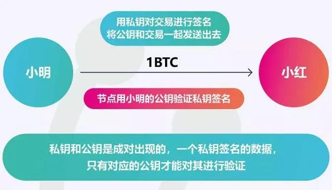 怎么查看tp钱包私钥_怎么查看tp钱包私钥_怎么查看tp钱包私钥