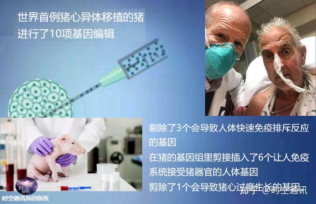 生命的备件_备件生命周期管理_备件生命周期管理表