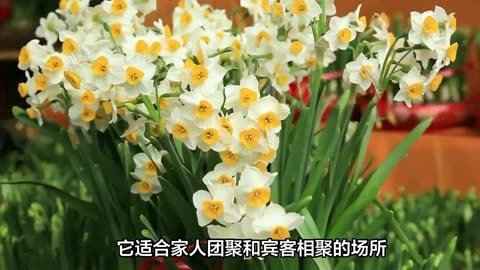 音量调节器_音量调节器下载_音量调节器软件