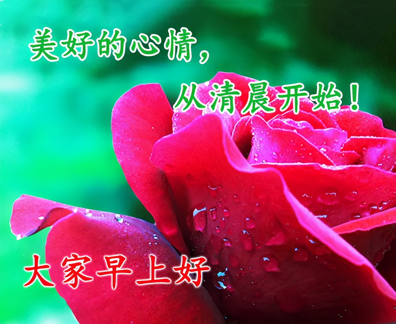 时雨节选_时雨_时雨翻译