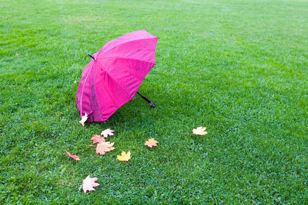 手机雨伞游戏_雨伞手机游戏怎么玩_雨伞手机游戏推荐