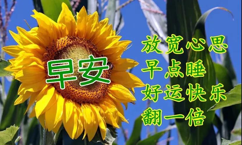 雪花游戏助手_雪花游戏网_手机游戏雪花