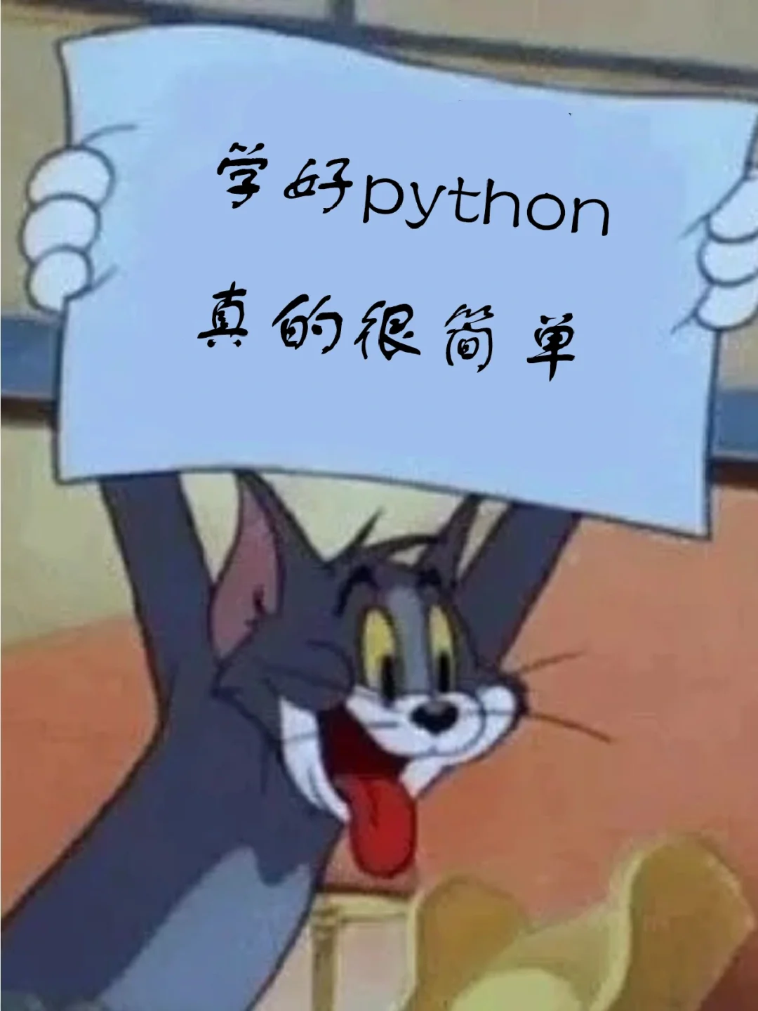 配置运行环境是什么意思_pycharm配置python运行环境_python环境配置