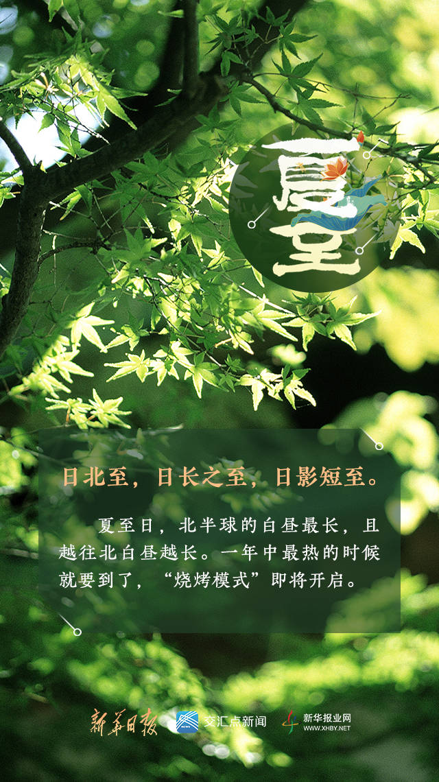 风俗节气夏至特点有哪些_风俗节气夏至特点是_夏至节气的特点和风俗