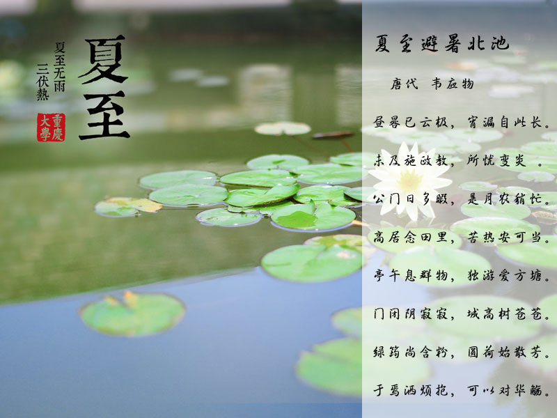 风俗节气夏至特点是_风俗节气夏至特点有哪些_夏至节气的特点和风俗