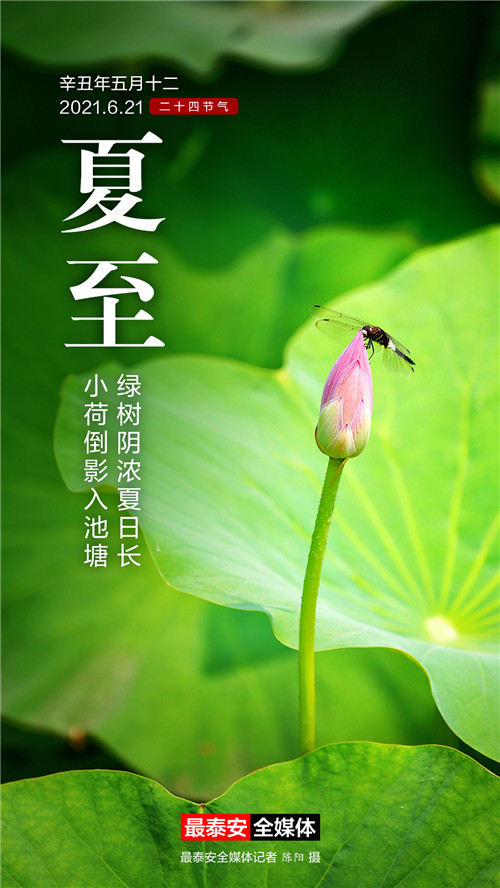 夏至节气的特点和风俗_风俗节气夏至特点有哪些_风俗节气夏至特点是