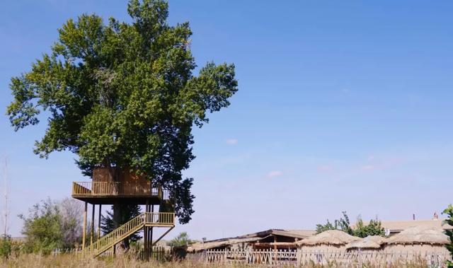 夏尔_夏尔图片_莱珀夏尔
