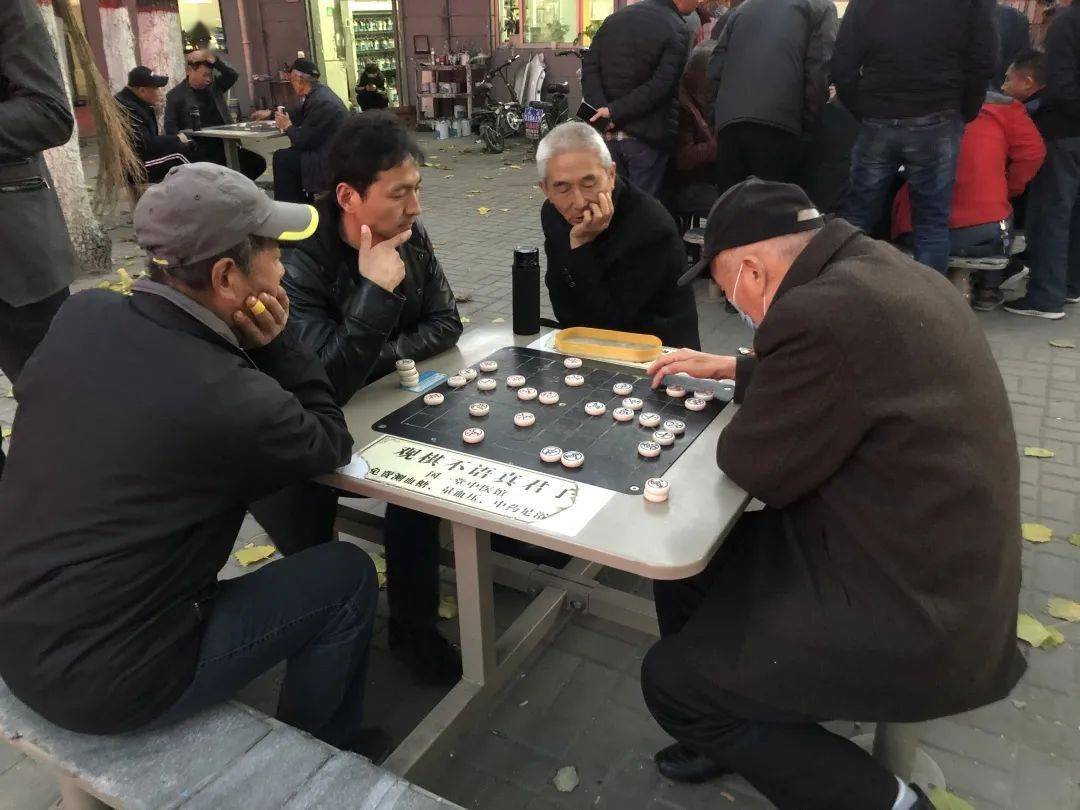 高手象棋手机游戏怎么玩_象棋高手游戏手机_下载高手象棋