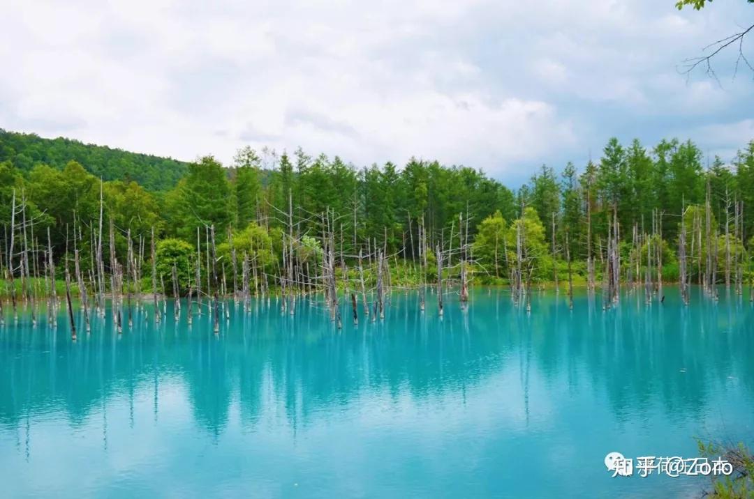 洞爷湖怎么来的_洞爷湖在哪里_洞爷湖八景